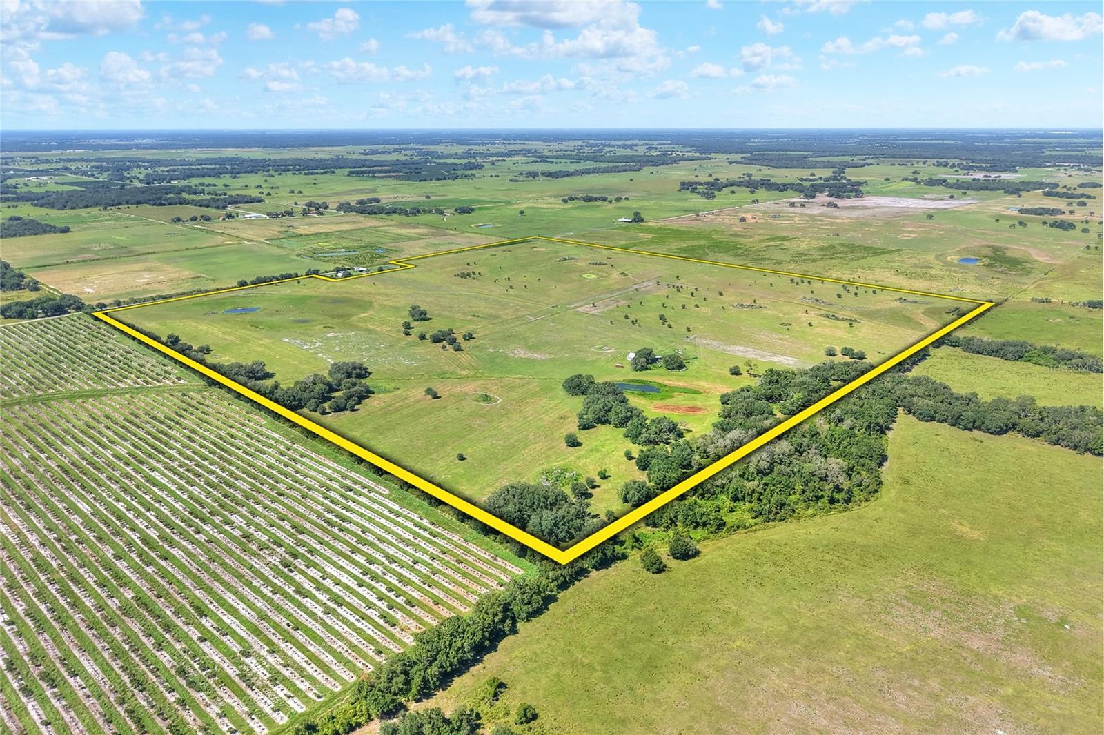 NW LIMESTONE HEIGHTS ST, ARCADIA, FL, 34266