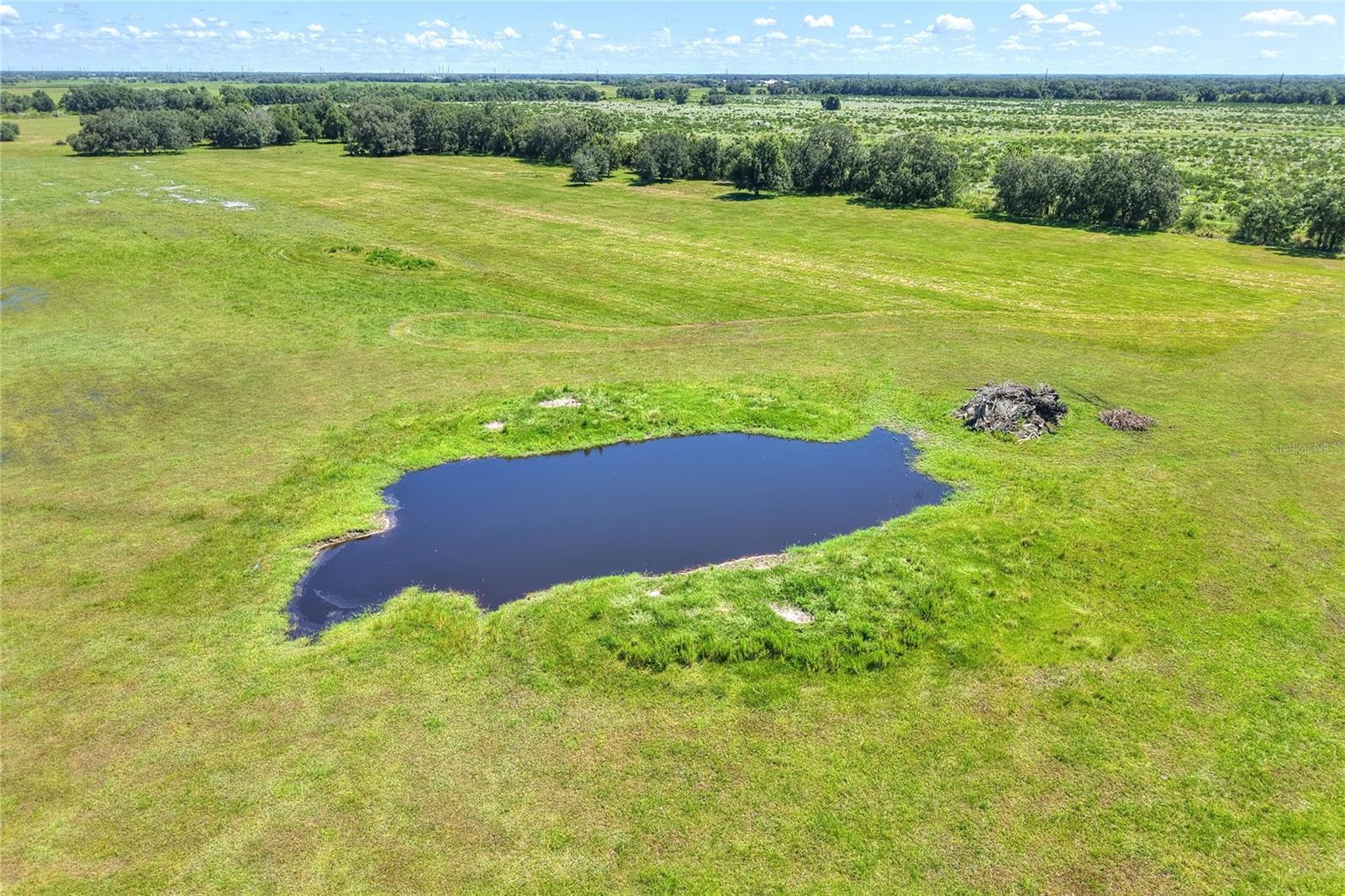 NW LIMESTONE HEIGHTS ST, ARCADIA, FL, 34266