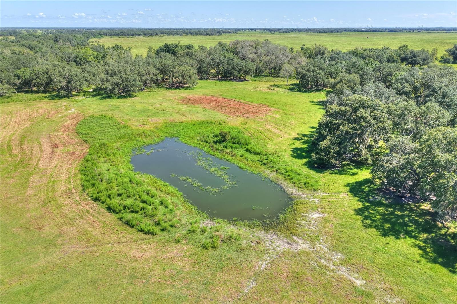 NW LIMESTONE HEIGHTS ST, ARCADIA, FL, 34266