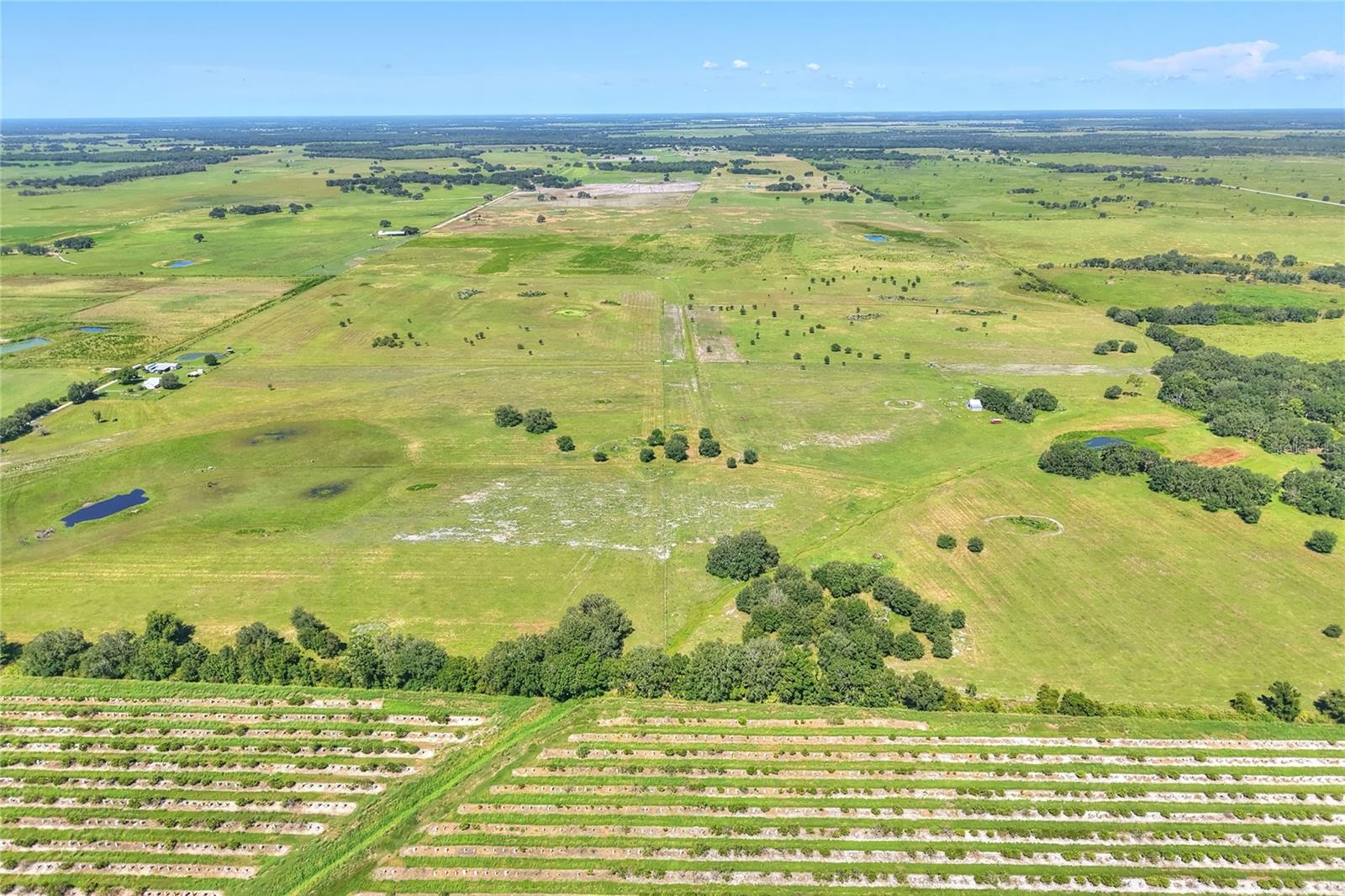 NW LIMESTONE HEIGHTS ST, ARCADIA, FL, 34266