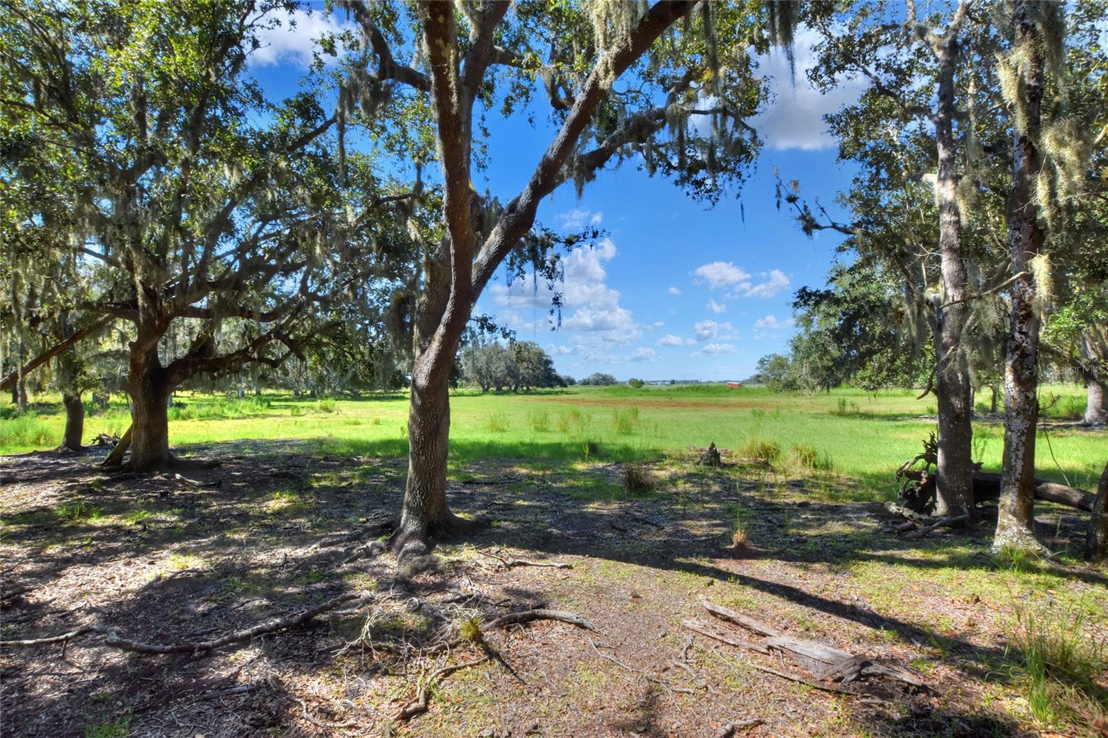 NW LIMESTONE HEIGHTS ST, ARCADIA, FL, 34266