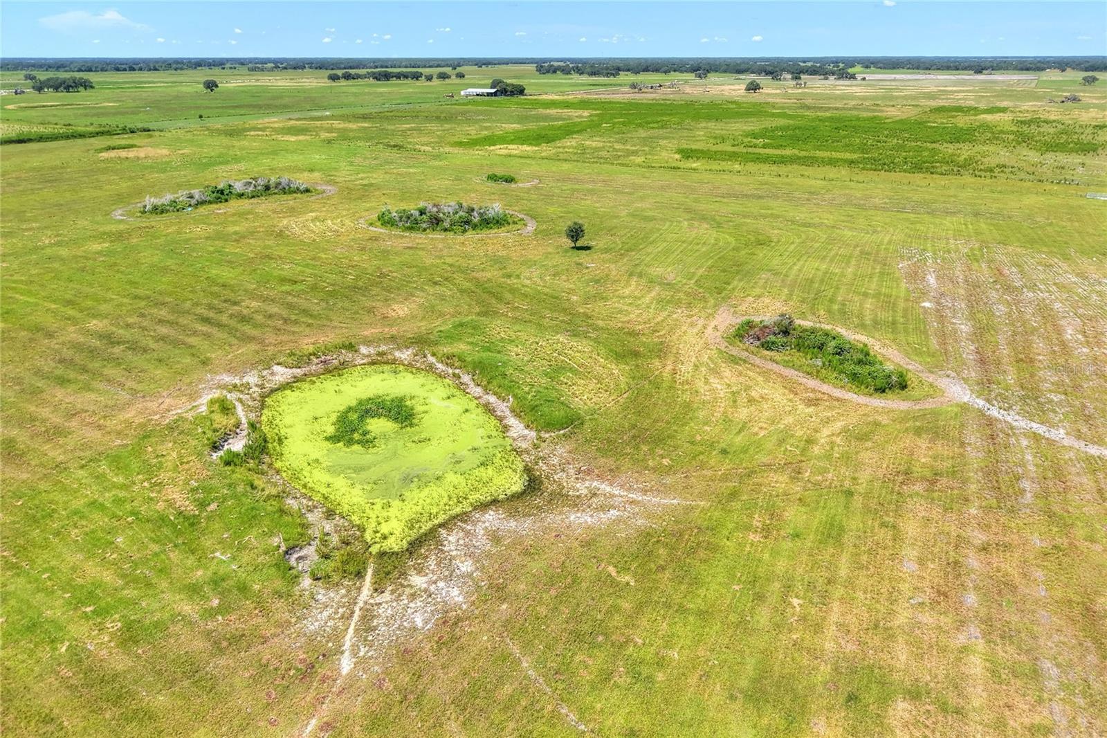 NW LIMESTONE HEIGHTS ST, ARCADIA, FL, 34266