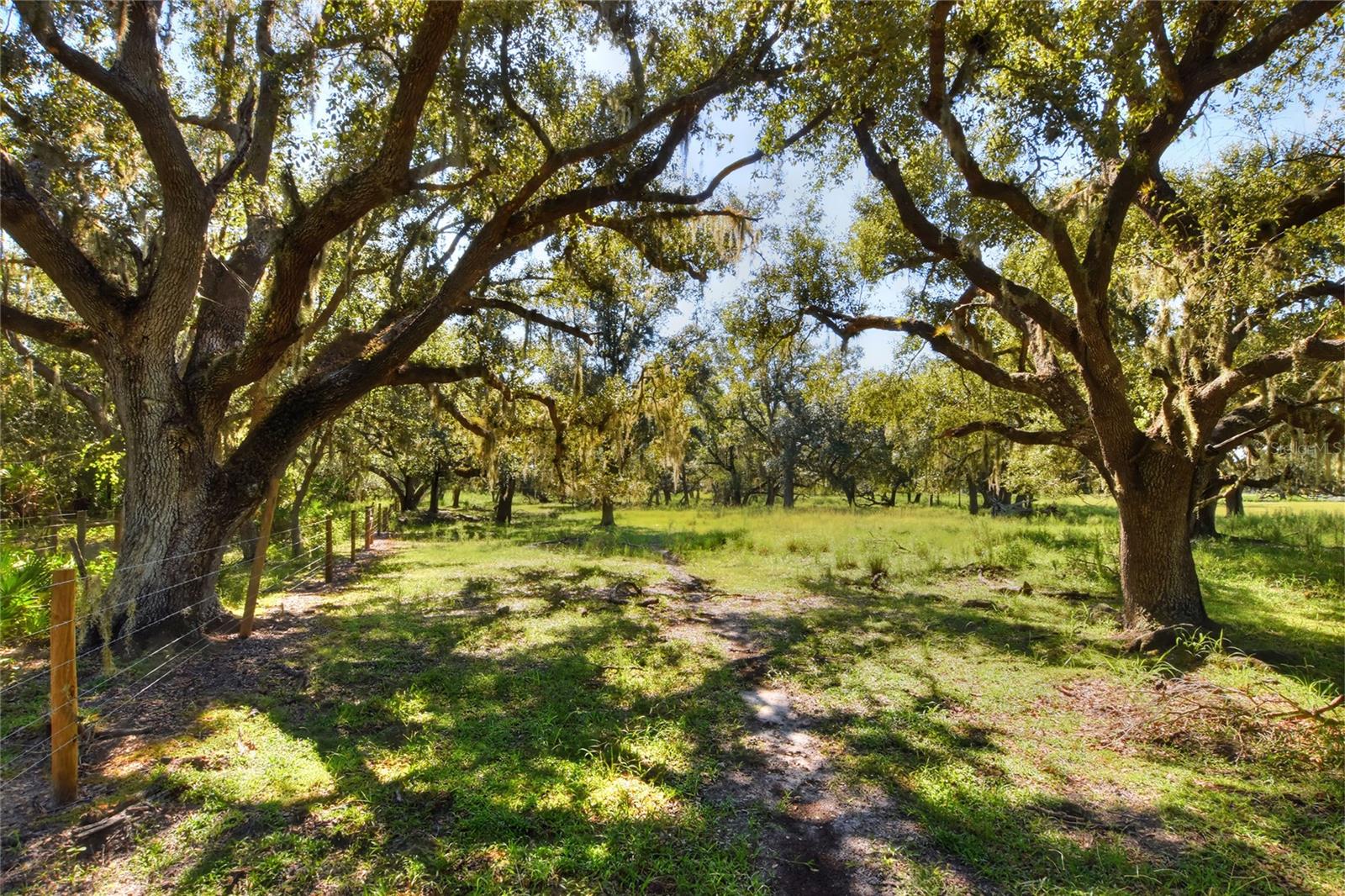 NW LIMESTONE HEIGHTS ST, ARCADIA, FL, 34266