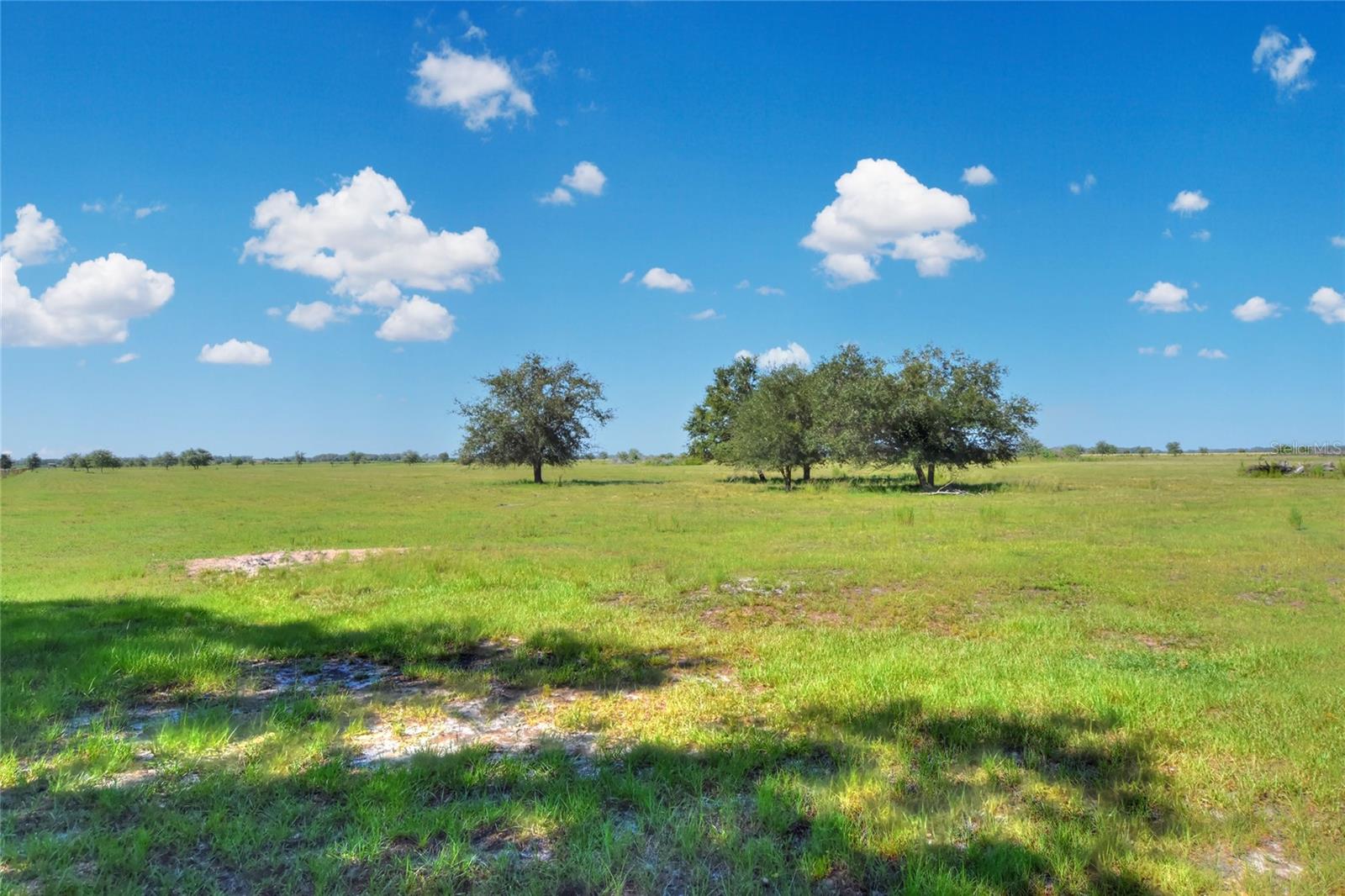 NW LIMESTONE HEIGHTS ST, ARCADIA, FL, 34266