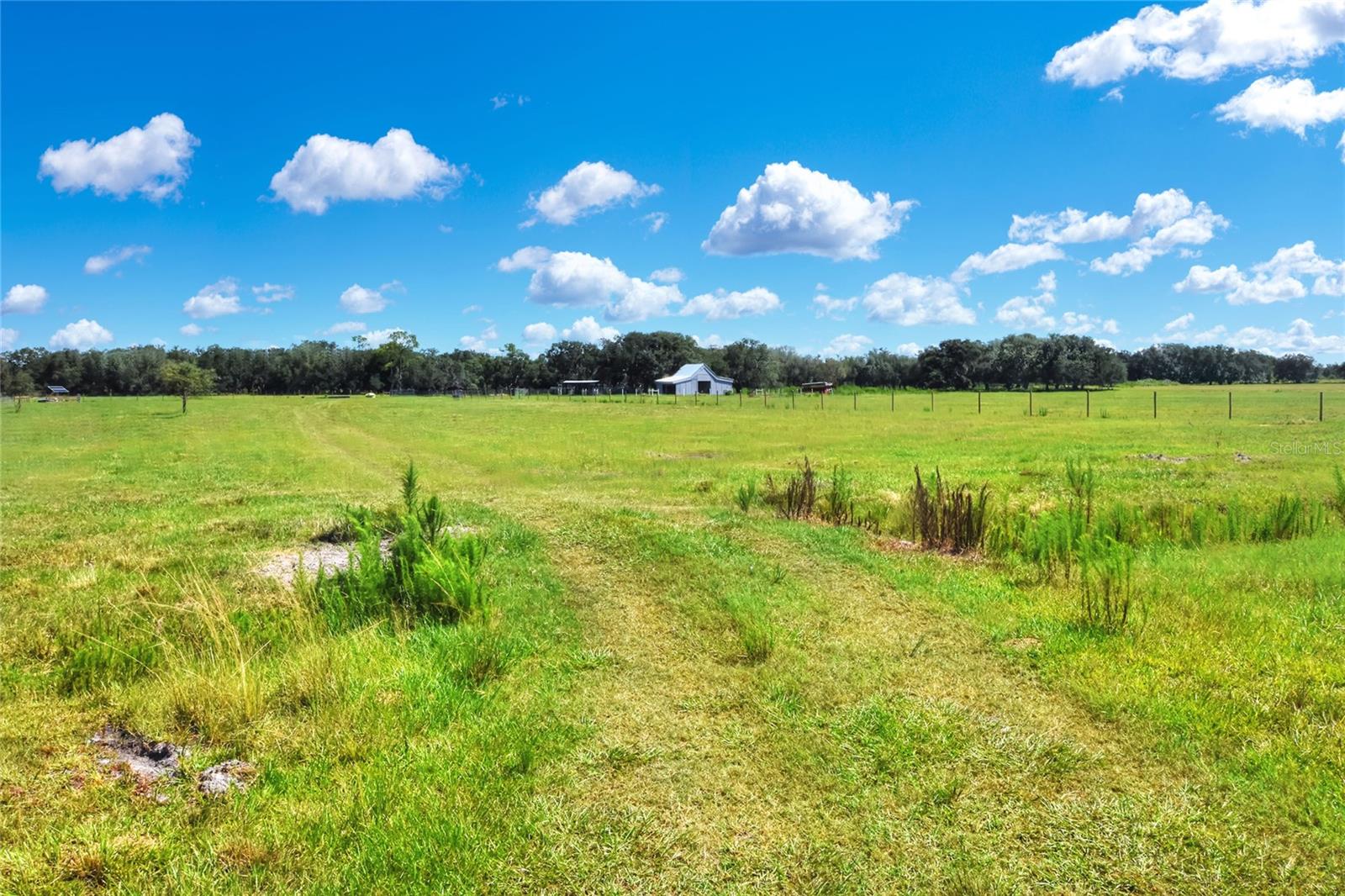 NW LIMESTONE HEIGHTS ST, ARCADIA, FL, 34266