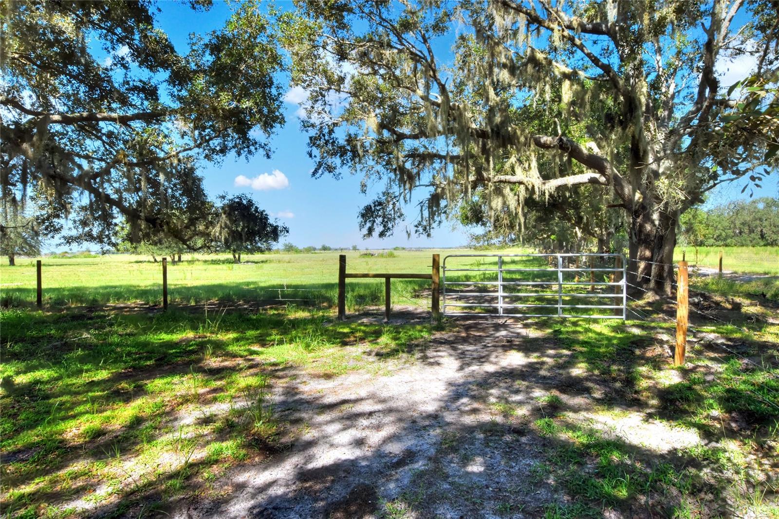 NW LIMESTONE HEIGHTS ST, ARCADIA, FL, 34266