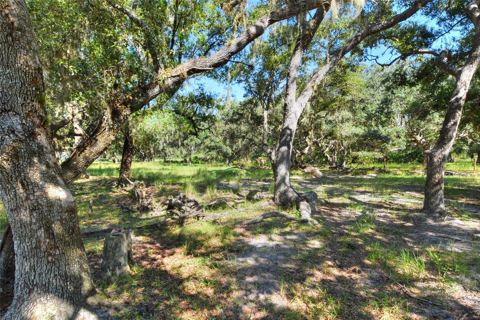 NW LIMESTONE HEIGHTS ST, ARCADIA, FL, 34266