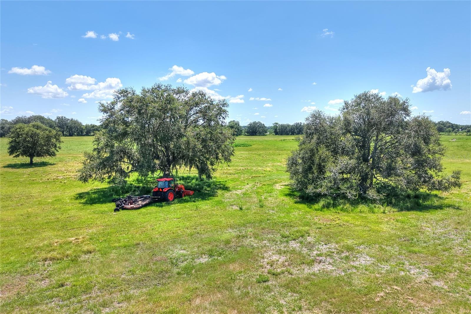 NW LIMESTONE HEIGHTS ST, ARCADIA, FL, 34266