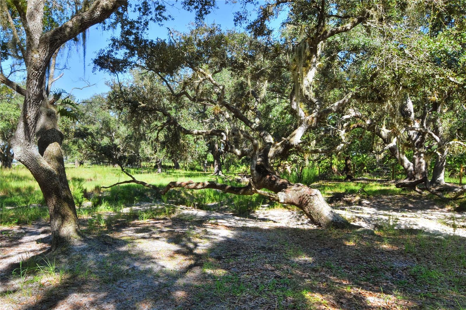 NW LIMESTONE HEIGHTS ST, ARCADIA, FL, 34266