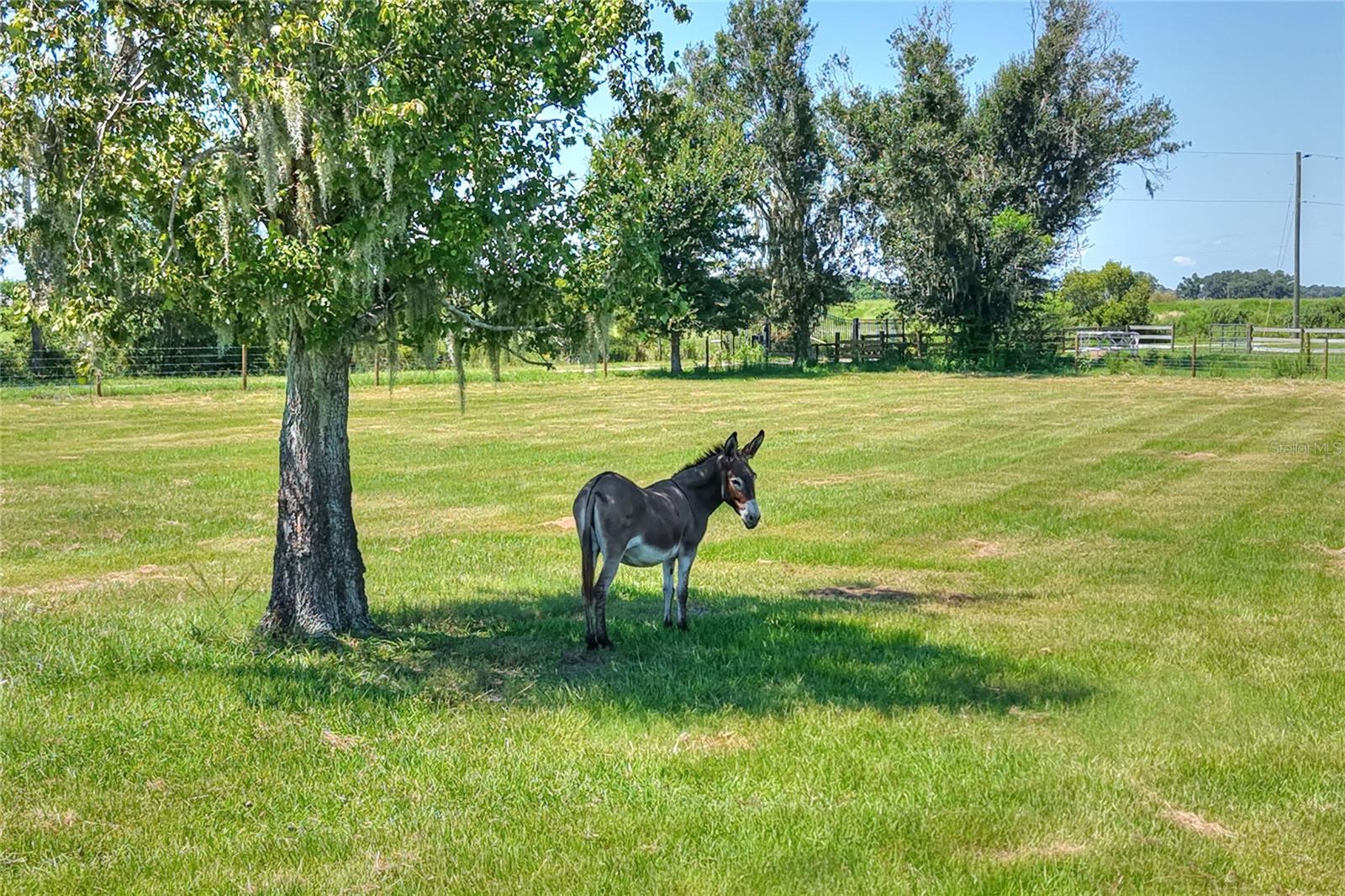 NW LIMESTONE HEIGHTS ST, ARCADIA, FL, 34266