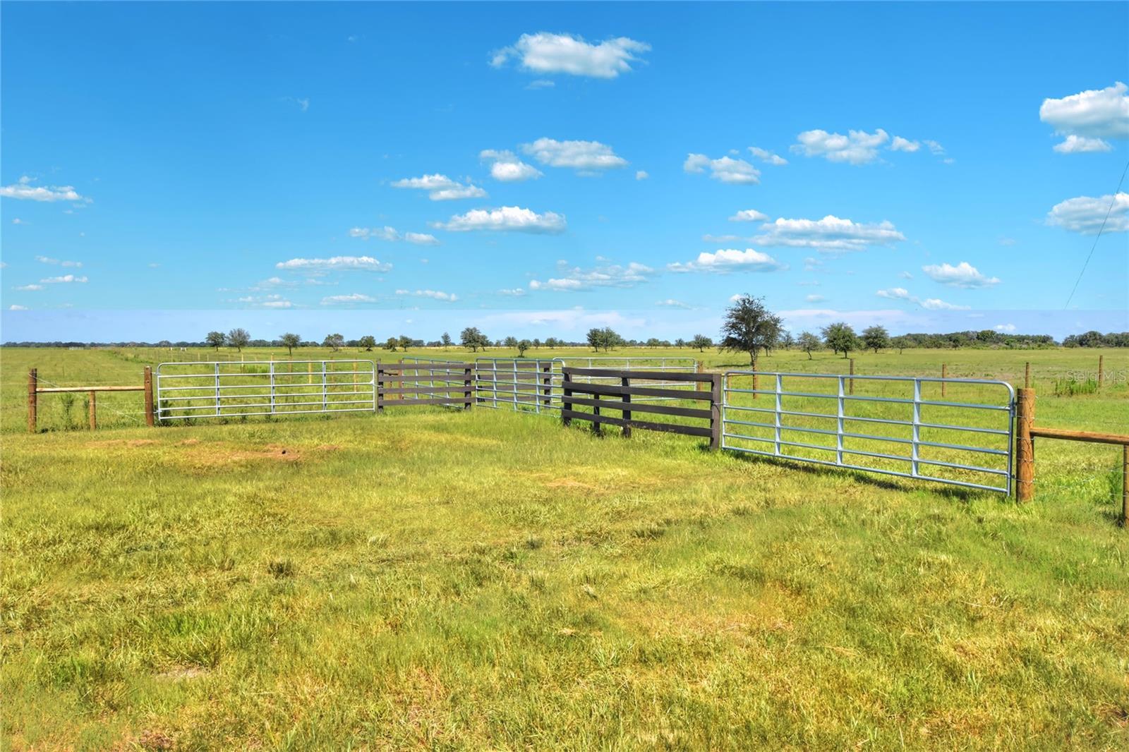 NW LIMESTONE HEIGHTS ST, ARCADIA, FL, 34266