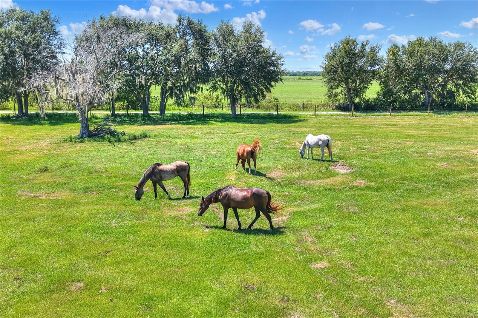 NW LIMESTONE HEIGHTS ST, ARCADIA, FL, 34266