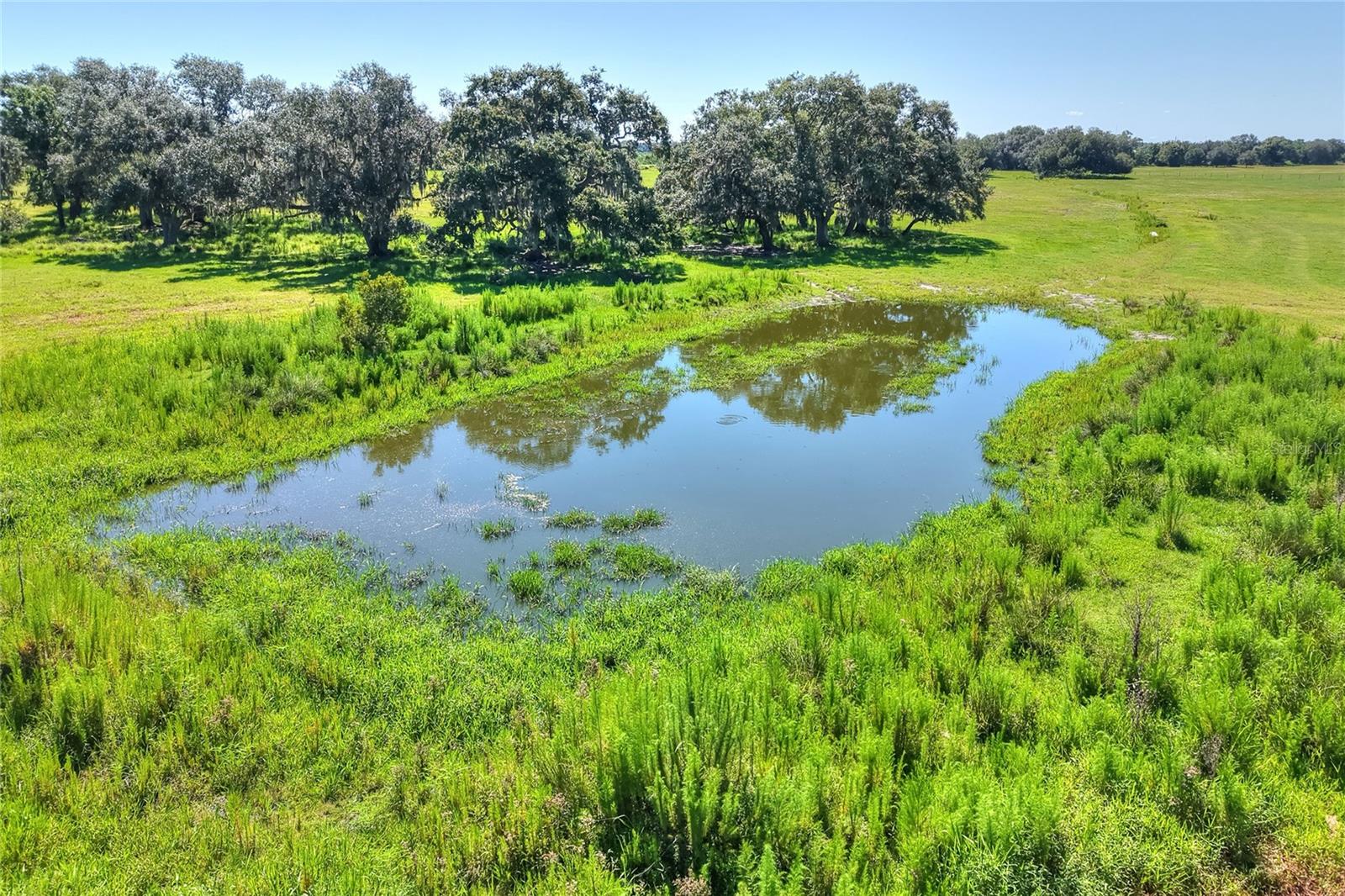 NW LIMESTONE HEIGHTS ST, ARCADIA, FL, 34266