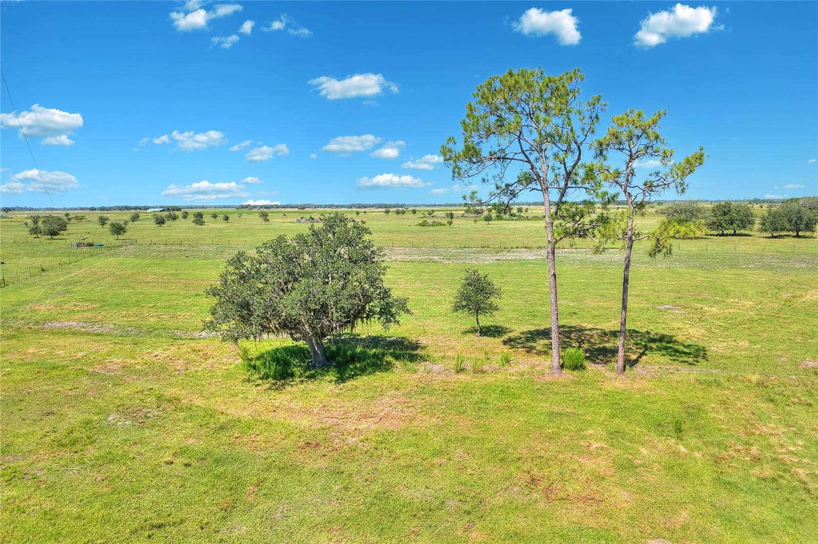 NW LIMESTONE HEIGHTS ST, ARCADIA, FL, 34266