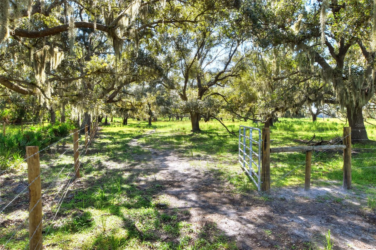 NW LIMESTONE HEIGHTS ST, ARCADIA, FL, 34266