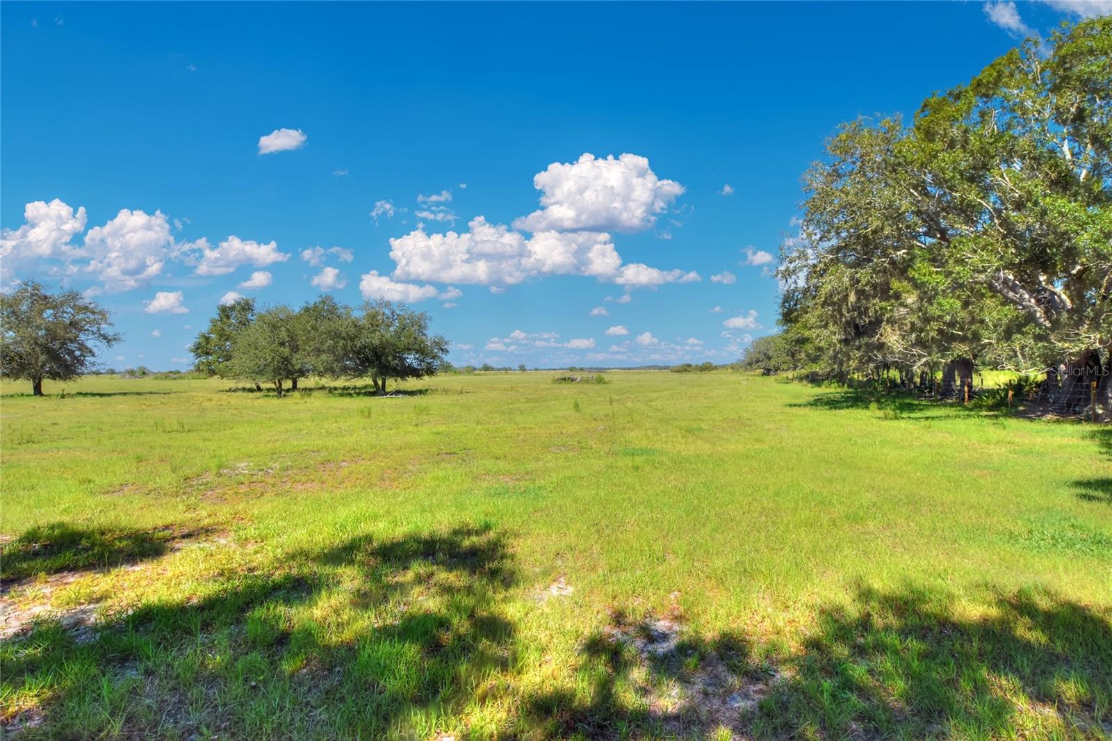 NW LIMESTONE HEIGHTS ST, ARCADIA, FL, 34266