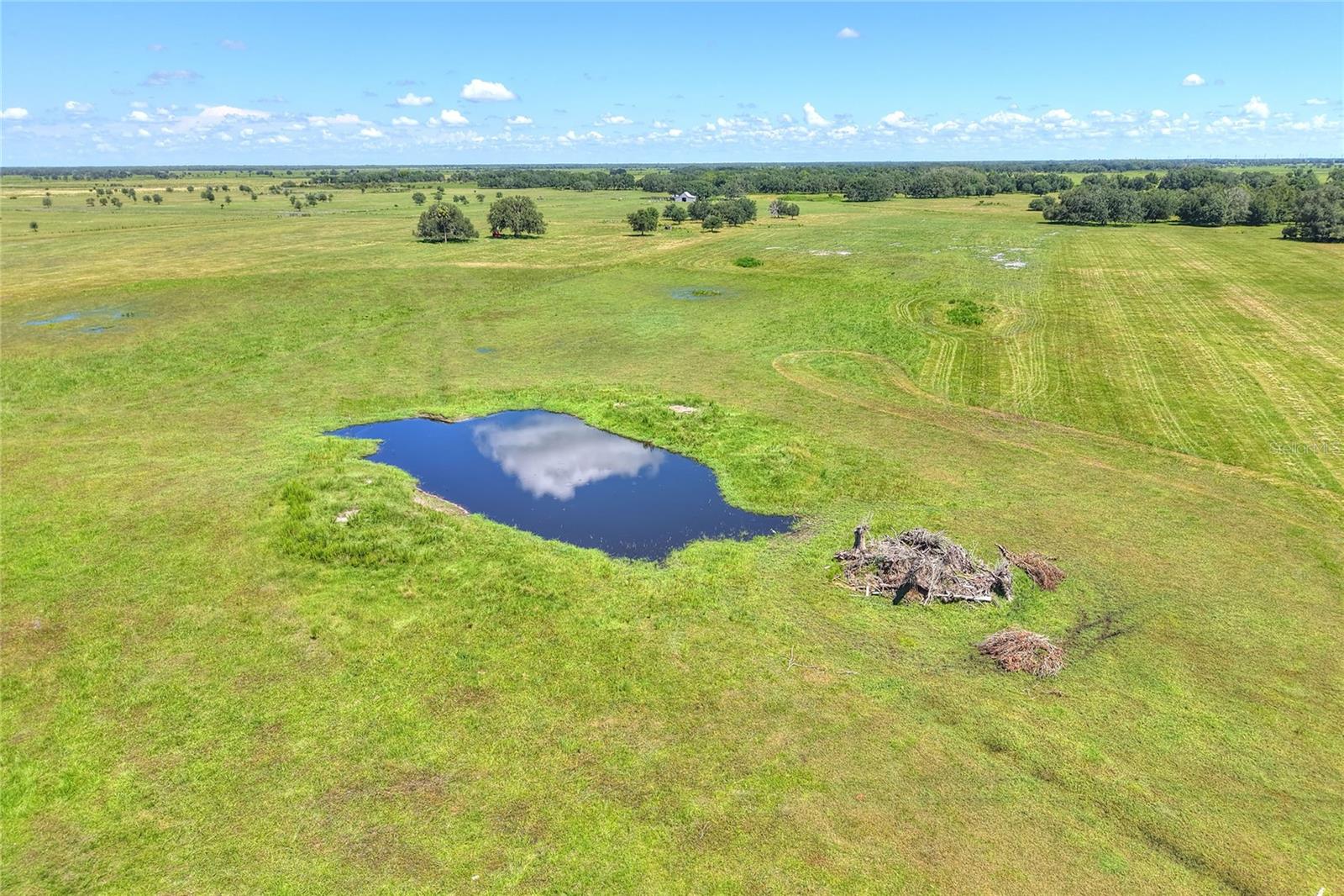 NW LIMESTONE HEIGHTS ST, ARCADIA, FL, 34266