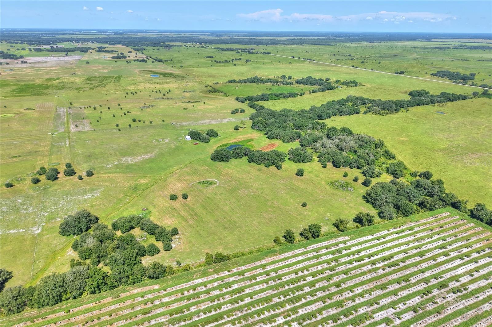 NW LIMESTONE HEIGHTS ST, ARCADIA, FL, 34266