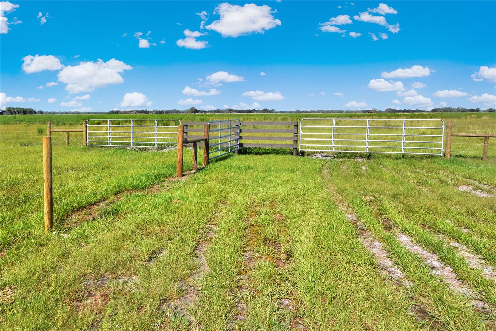 NW LIMESTONE HEIGHTS ST, ARCADIA, FL, 34266