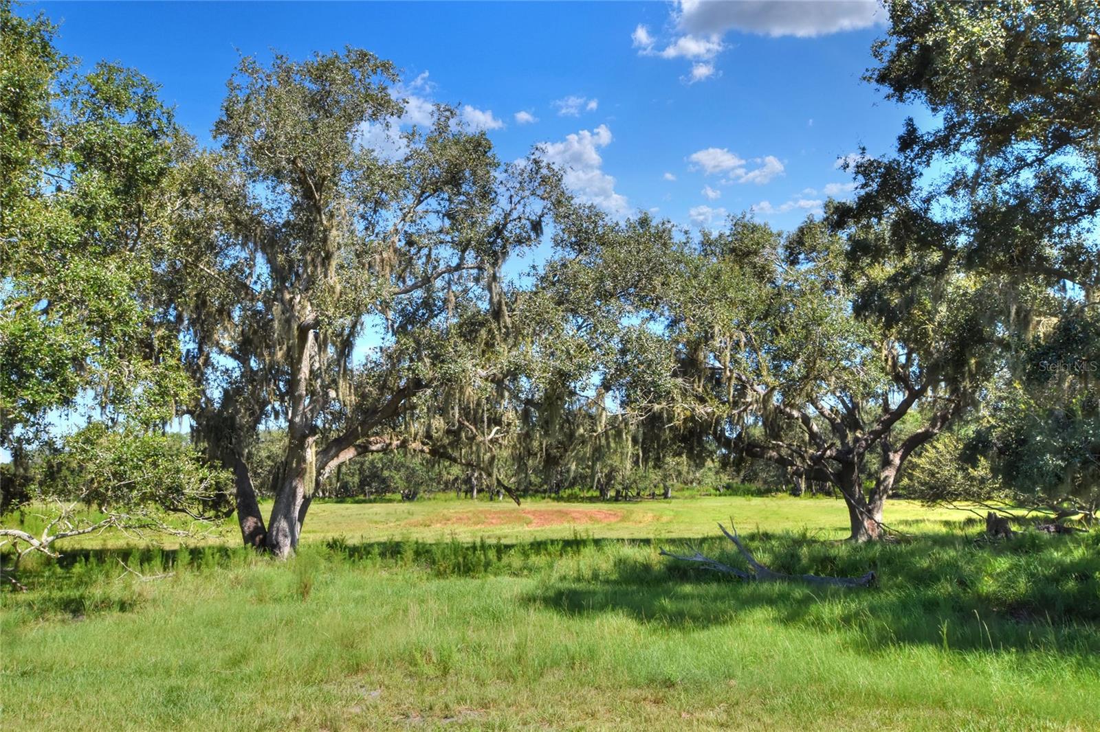 NW LIMESTONE HEIGHTS ST, ARCADIA, FL, 34266