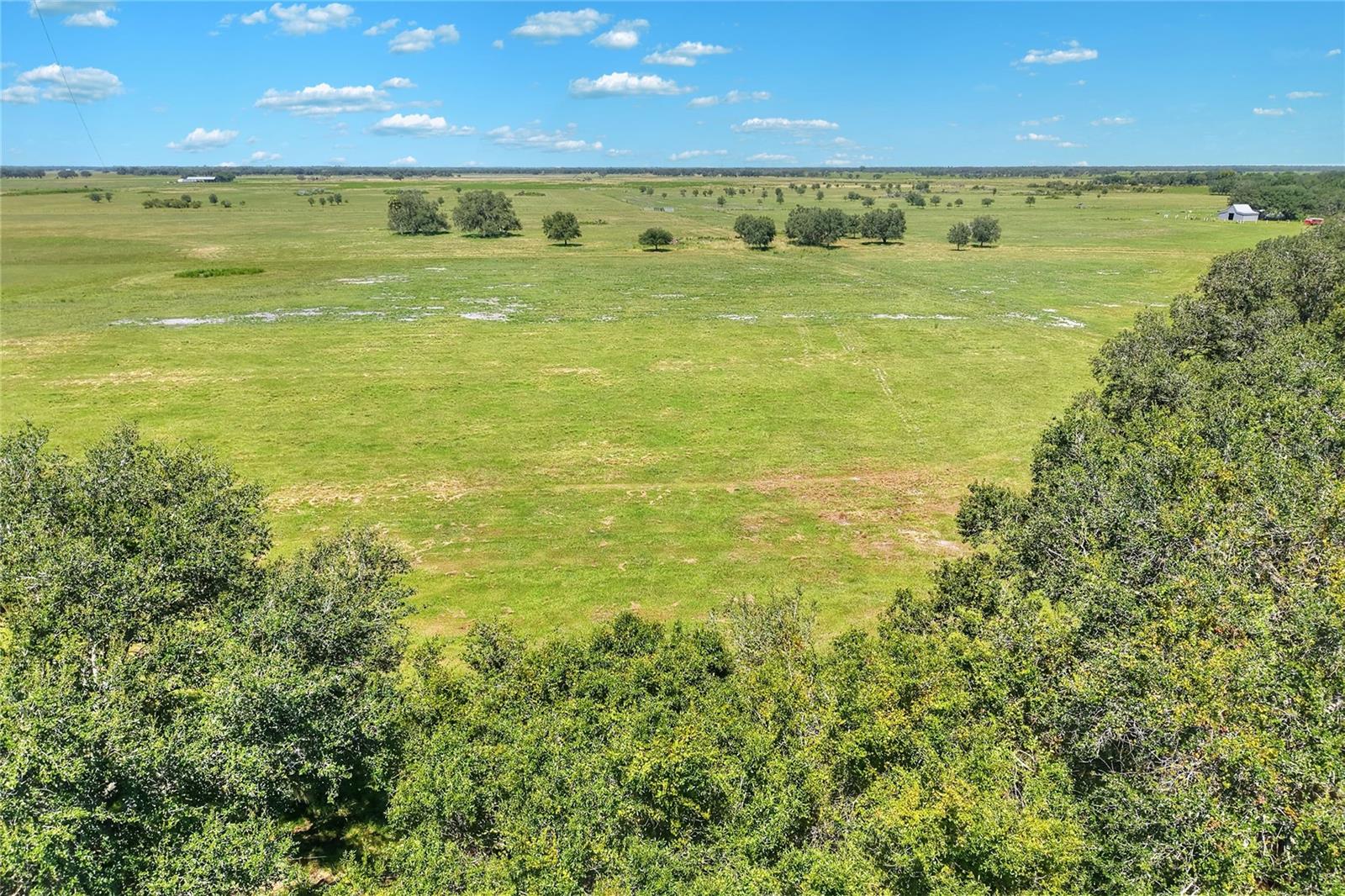 NW LIMESTONE HEIGHTS ST, ARCADIA, FL, 34266