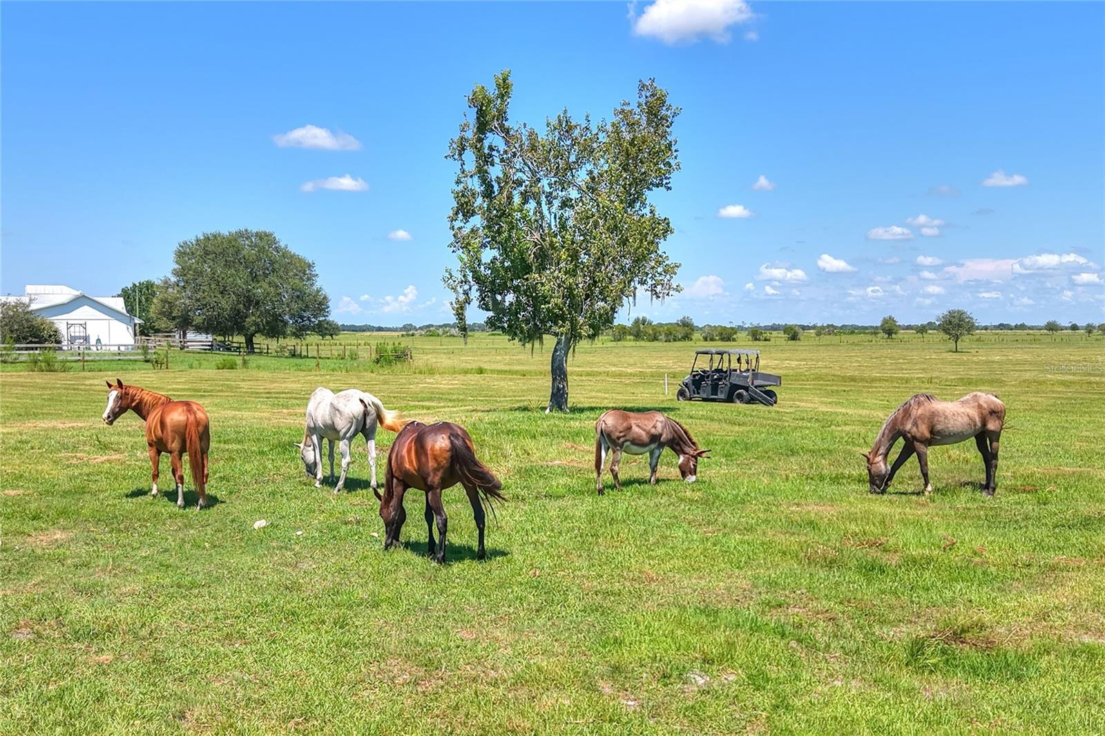 NW LIMESTONE HEIGHTS ST, ARCADIA, FL, 34266