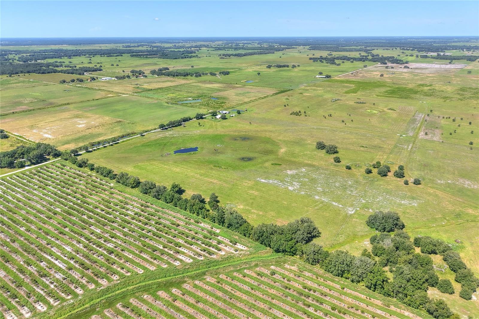 NW LIMESTONE HEIGHTS ST, ARCADIA, FL, 34266