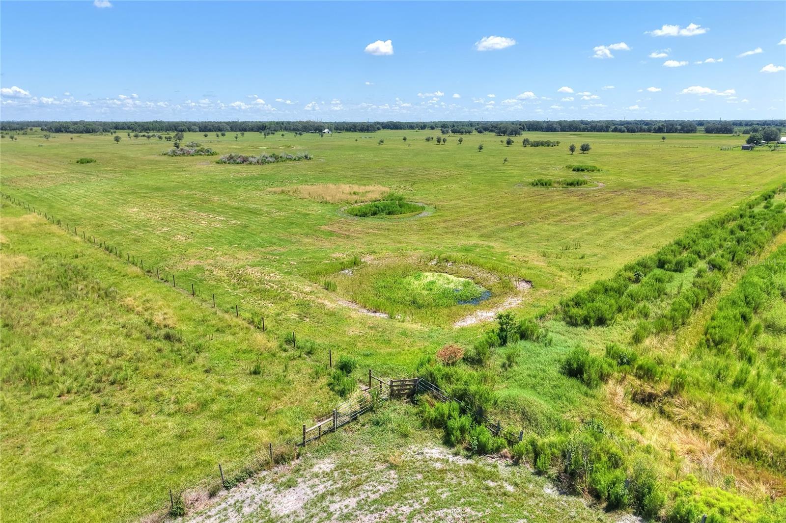 NW LIMESTONE HEIGHTS ST, ARCADIA, FL, 34266