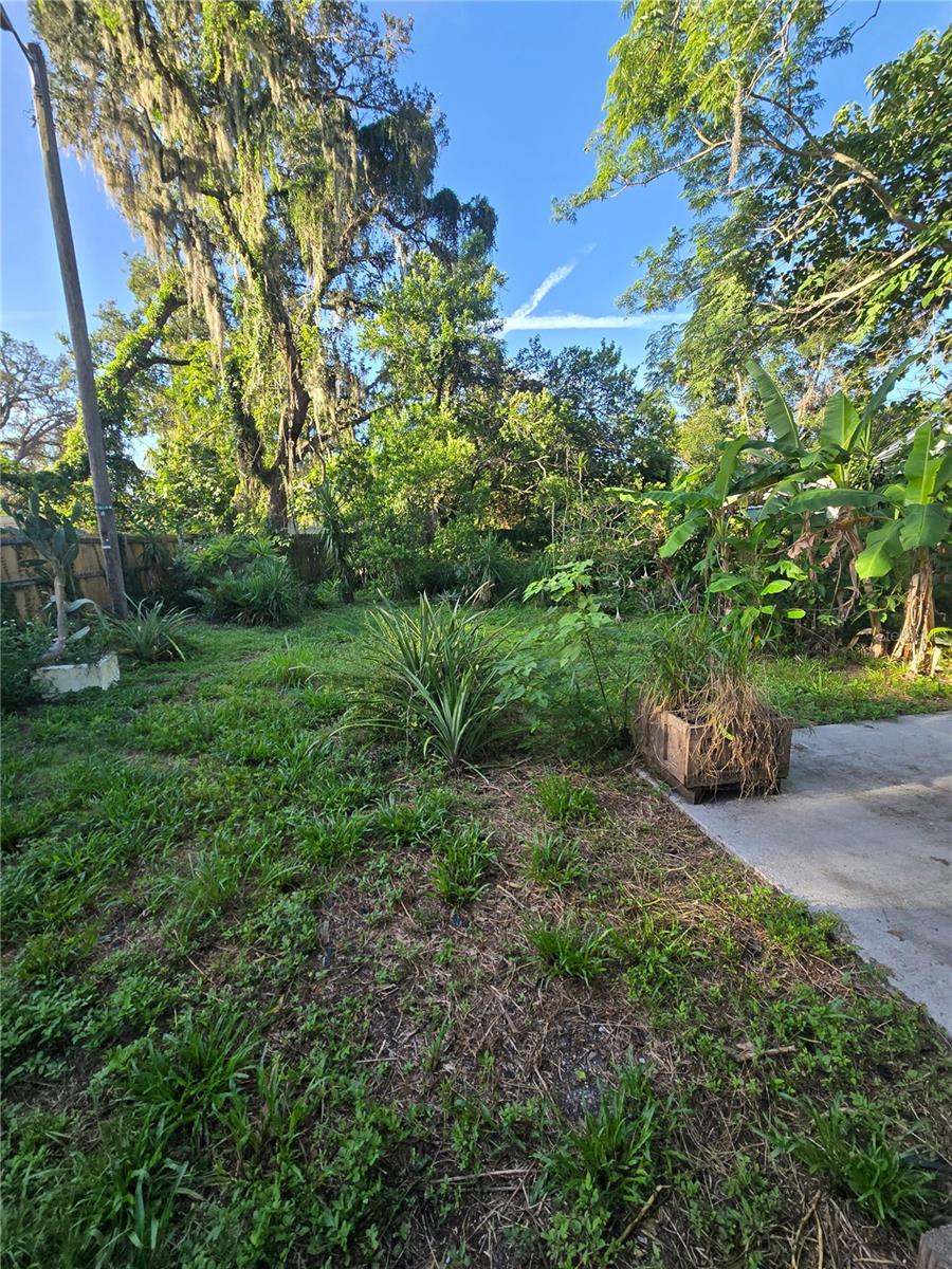 1503 E NAVAJO AVE #B, TAMPA, FL, 33612