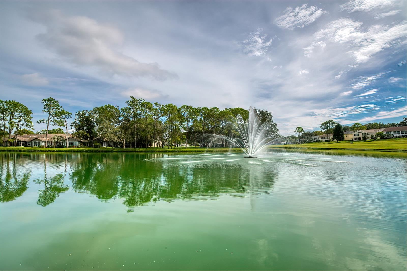 6460 PINE MEADOWS DR, SPRING HILL, FL, 34606