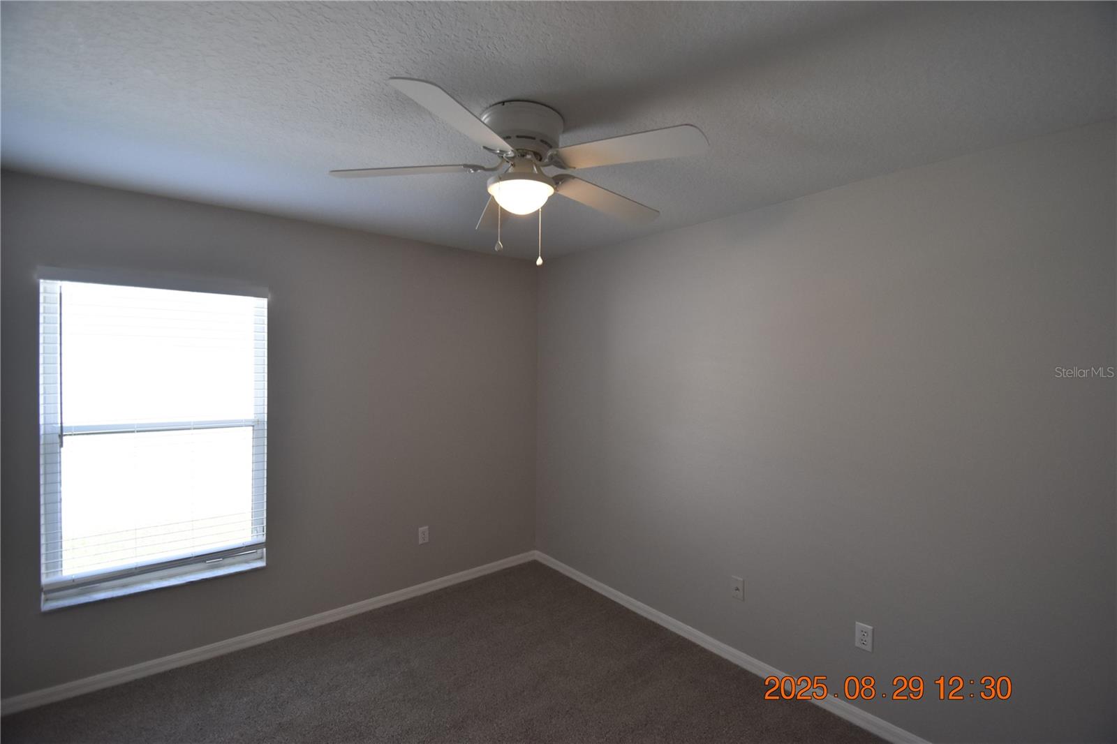 944 RIDGE HAVEN DR, BRANDON, FL, 33511