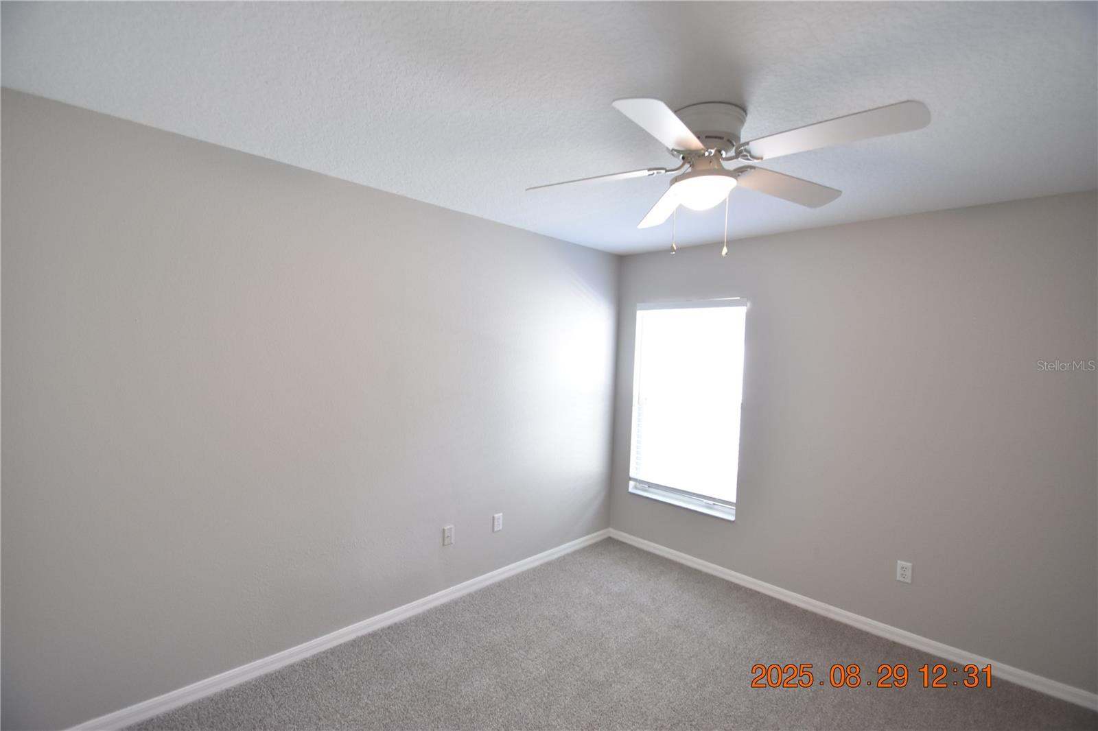 944 RIDGE HAVEN DR, BRANDON, FL, 33511