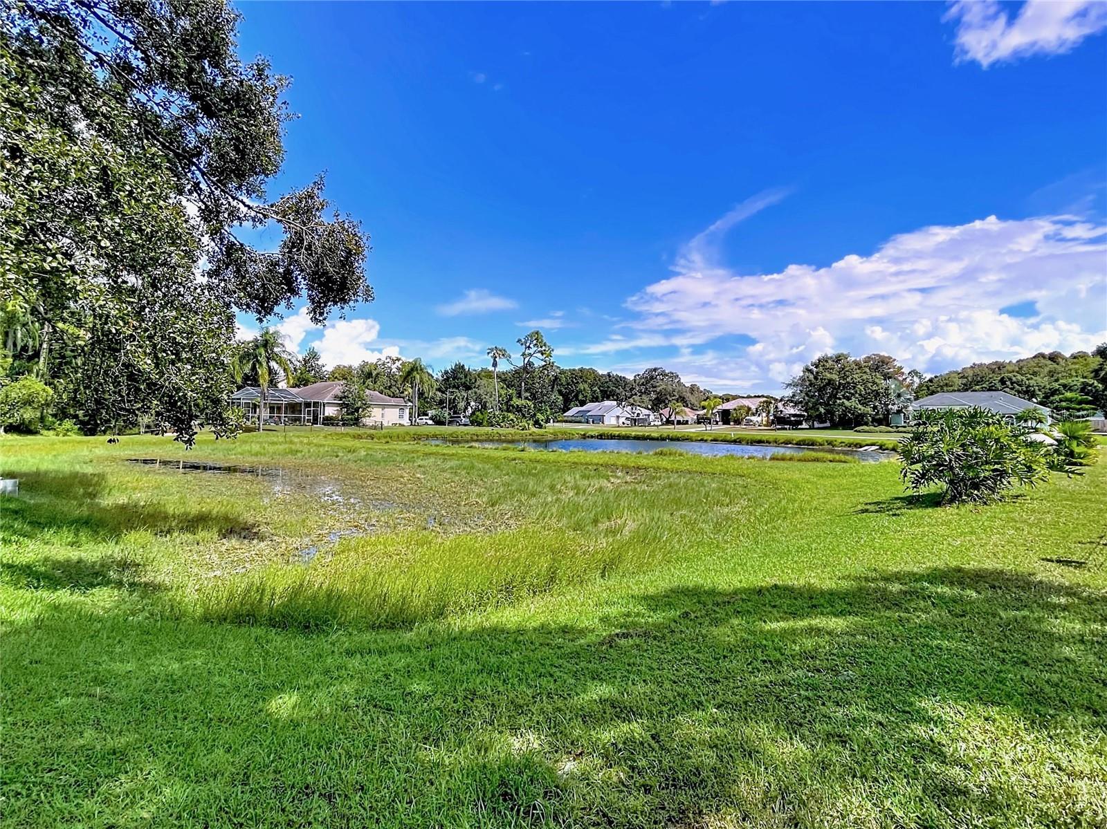 10137 WORTHY LAMB WAY, NEW PORT RICHEY, FL, 34654