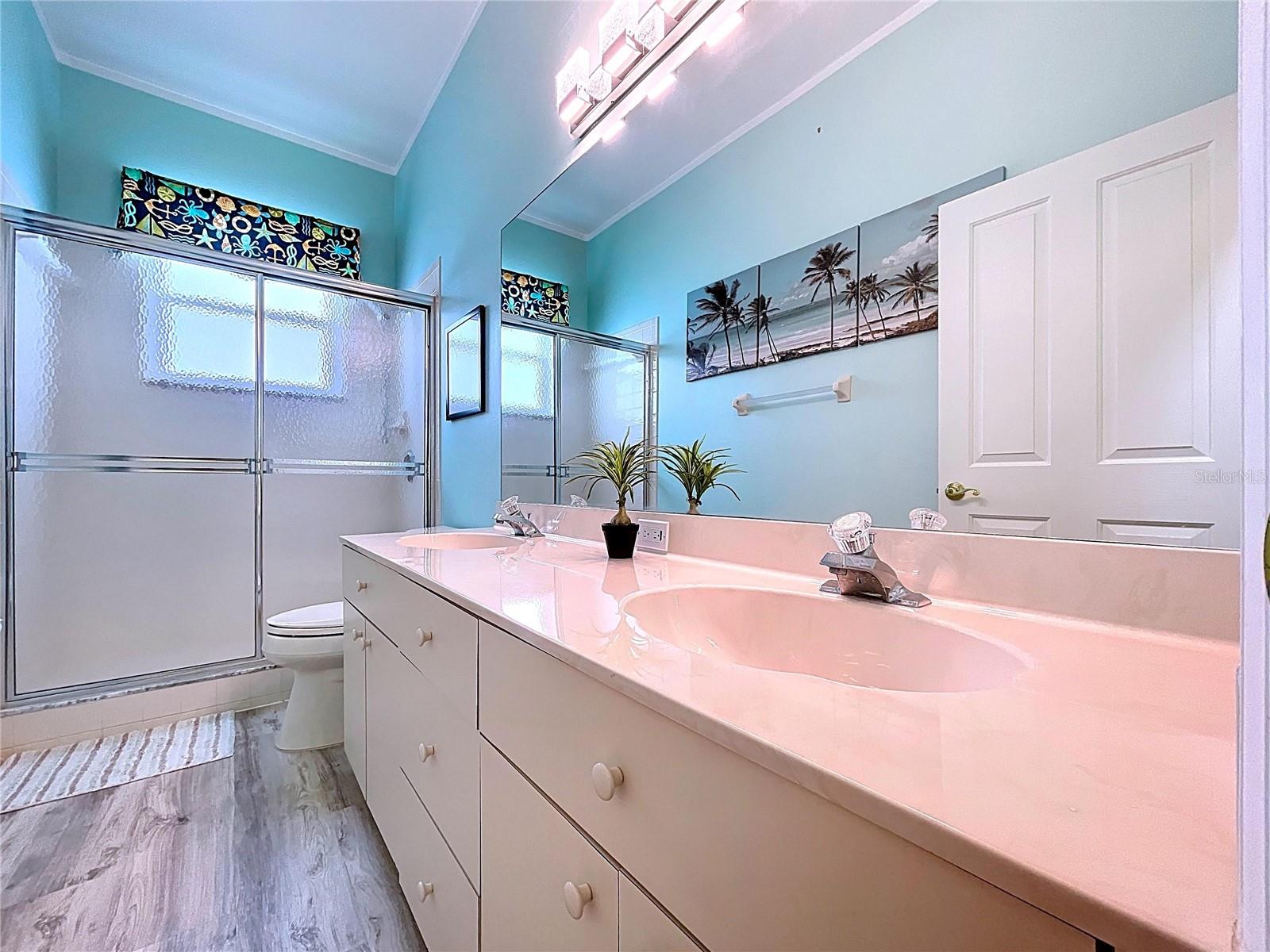 10137 WORTHY LAMB WAY, NEW PORT RICHEY, FL, 34654