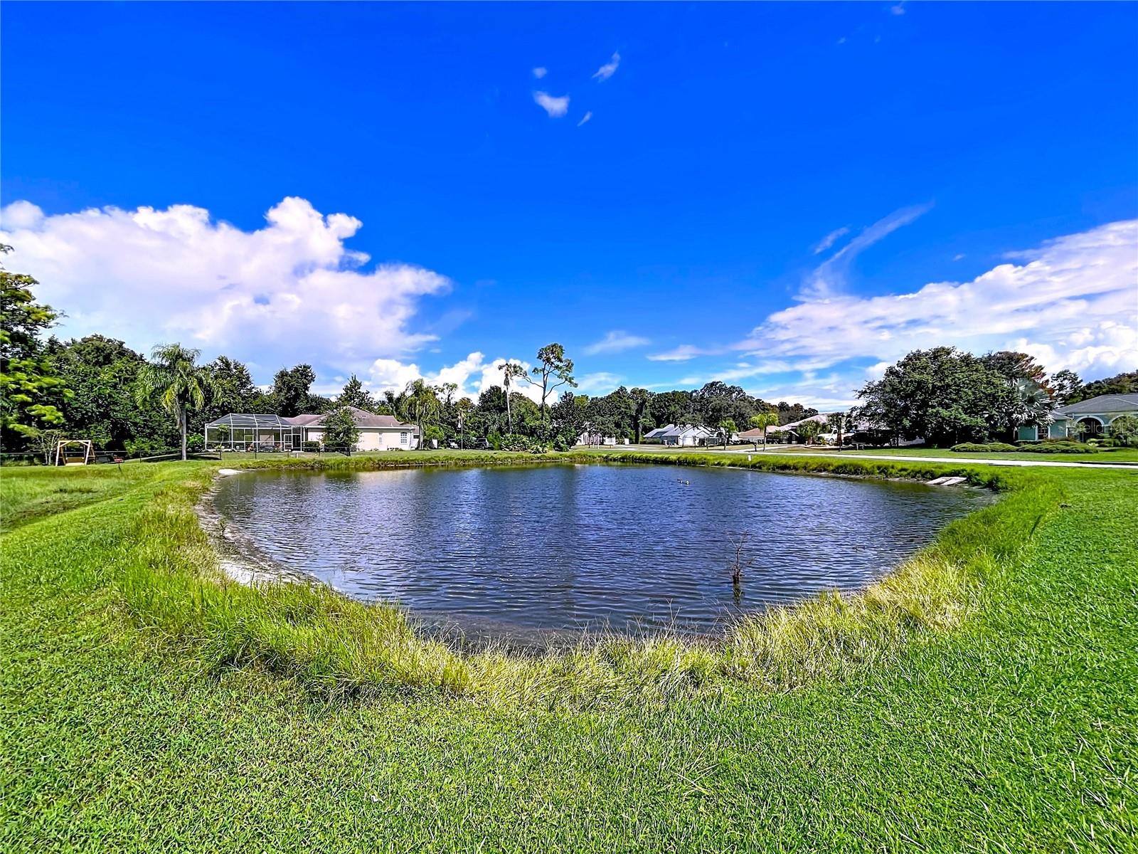 10137 WORTHY LAMB WAY, NEW PORT RICHEY, FL, 34654