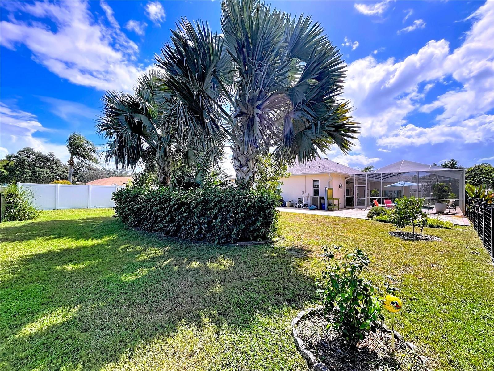 10137 WORTHY LAMB WAY, NEW PORT RICHEY, FL, 34654