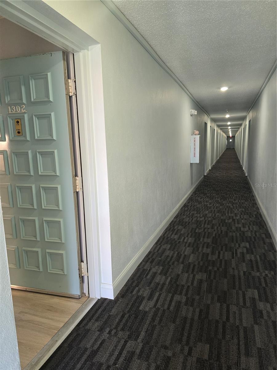 2700 BAYSHORE BLVD #1302, DUNEDIN, FL, 34698