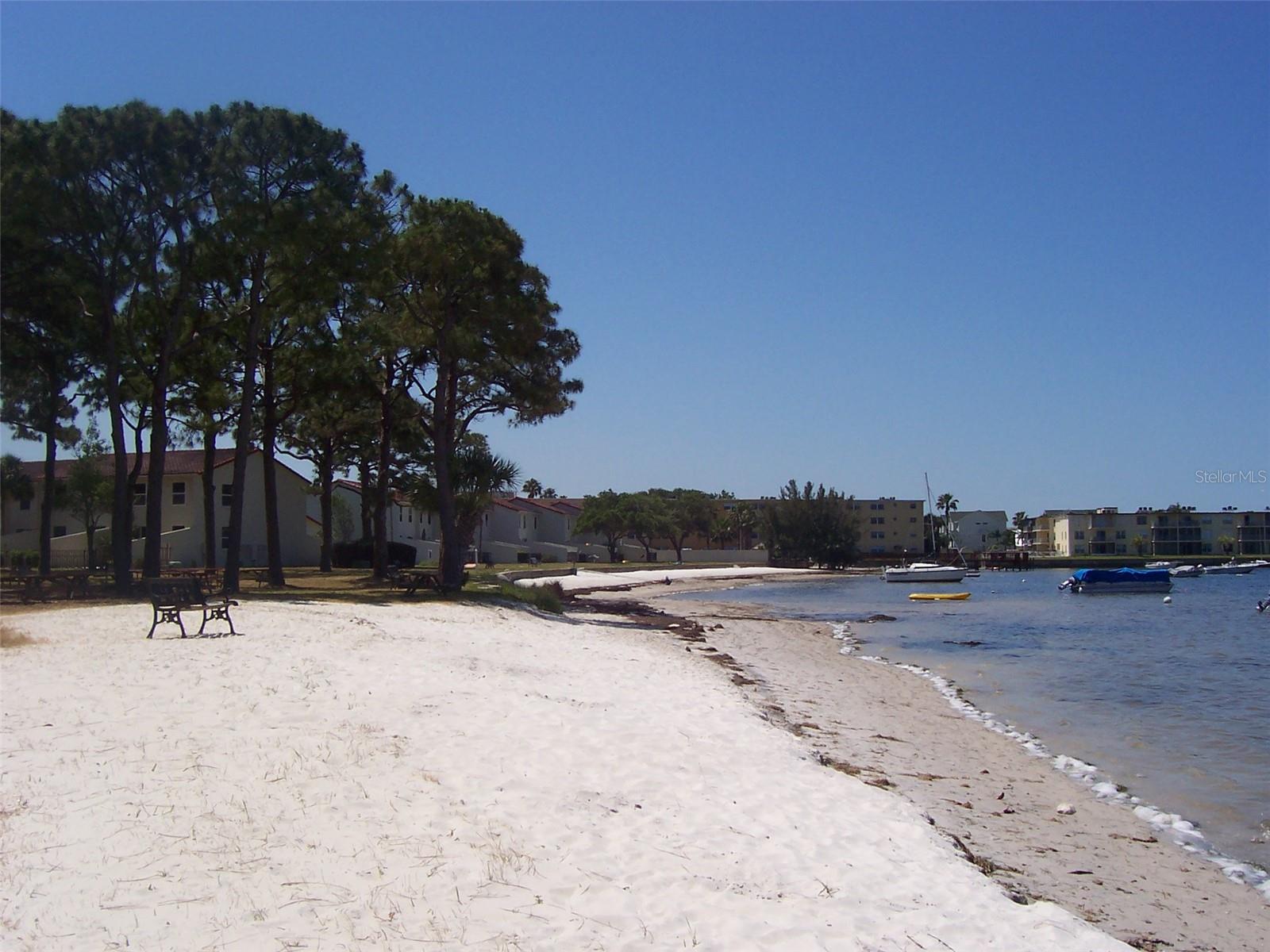 2700 BAYSHORE BLVD #1302, DUNEDIN, FL, 34698