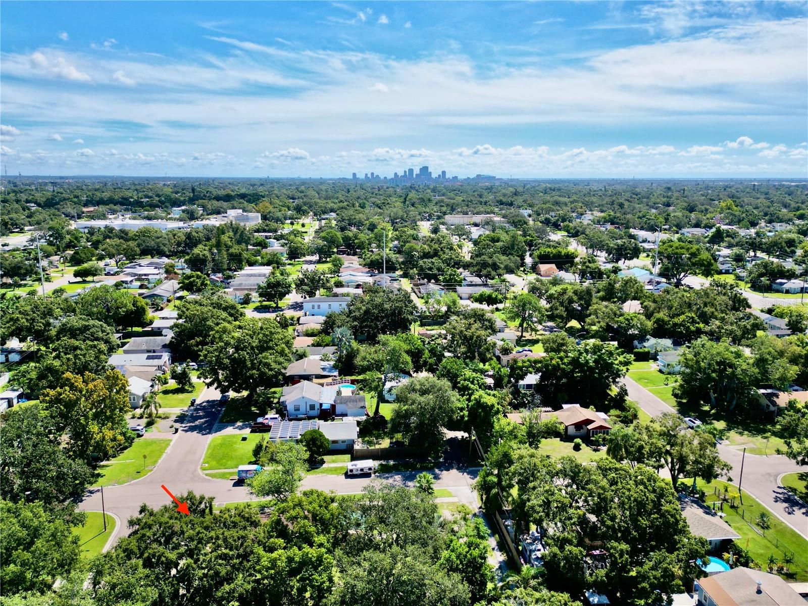 Downtown St. Pete in the distance