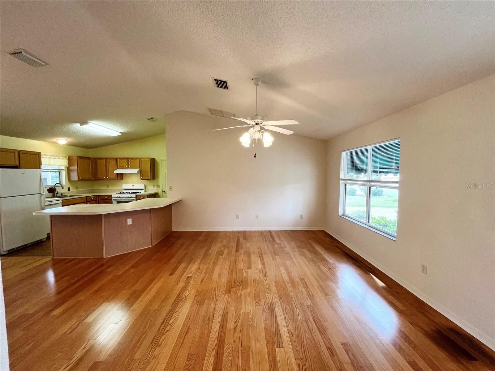 9230 SE 179TH WESLEY ST, THE VILLAGES, FL, 32162