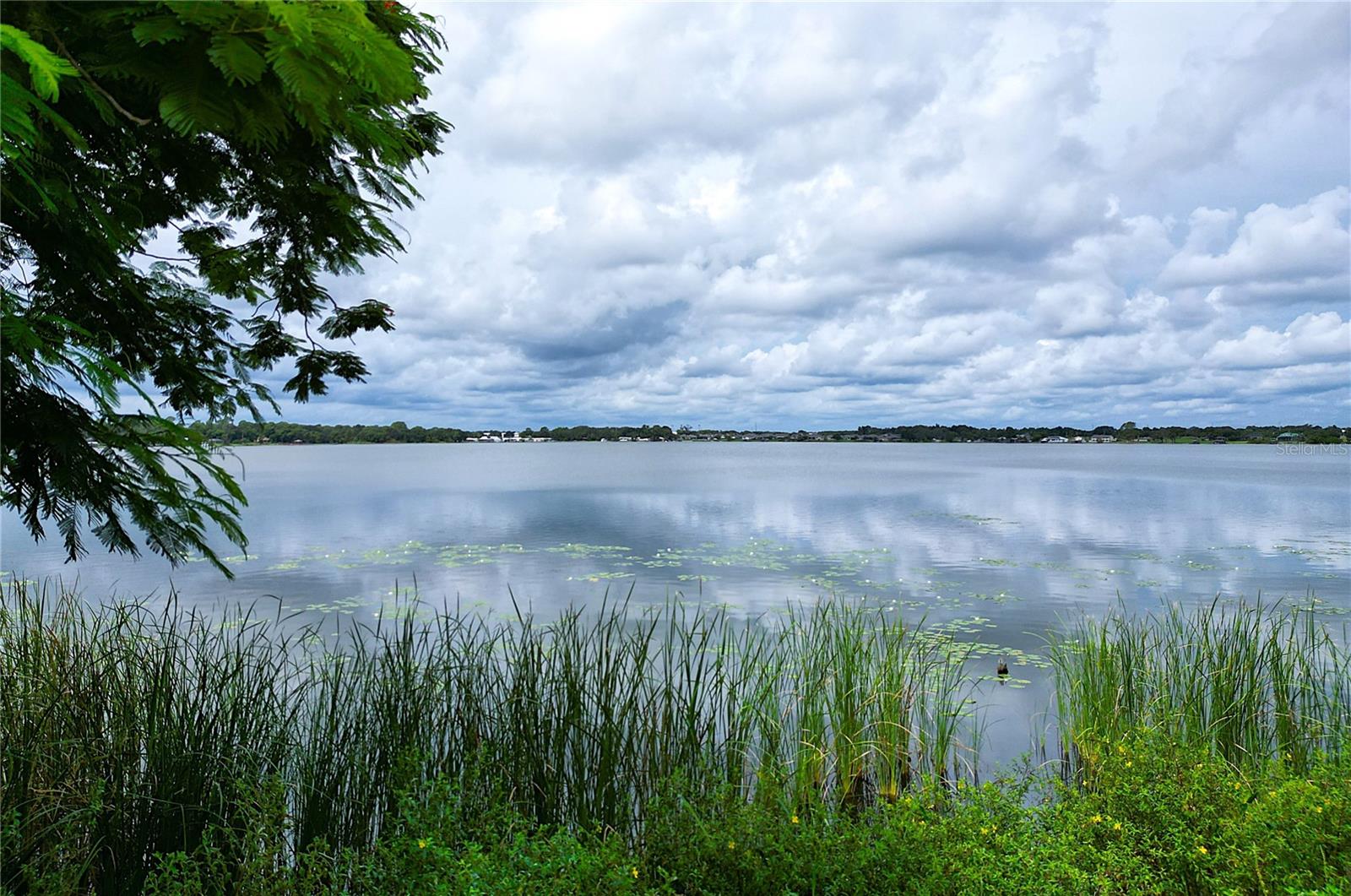 31 SUNSET CIR, LAKE ALFRED, FL, 33850