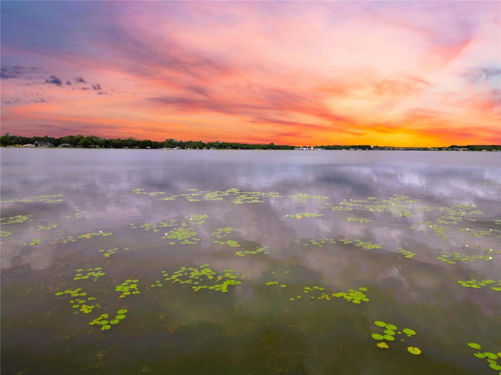 31 SUNSET CIR, LAKE ALFRED, FL, 33850