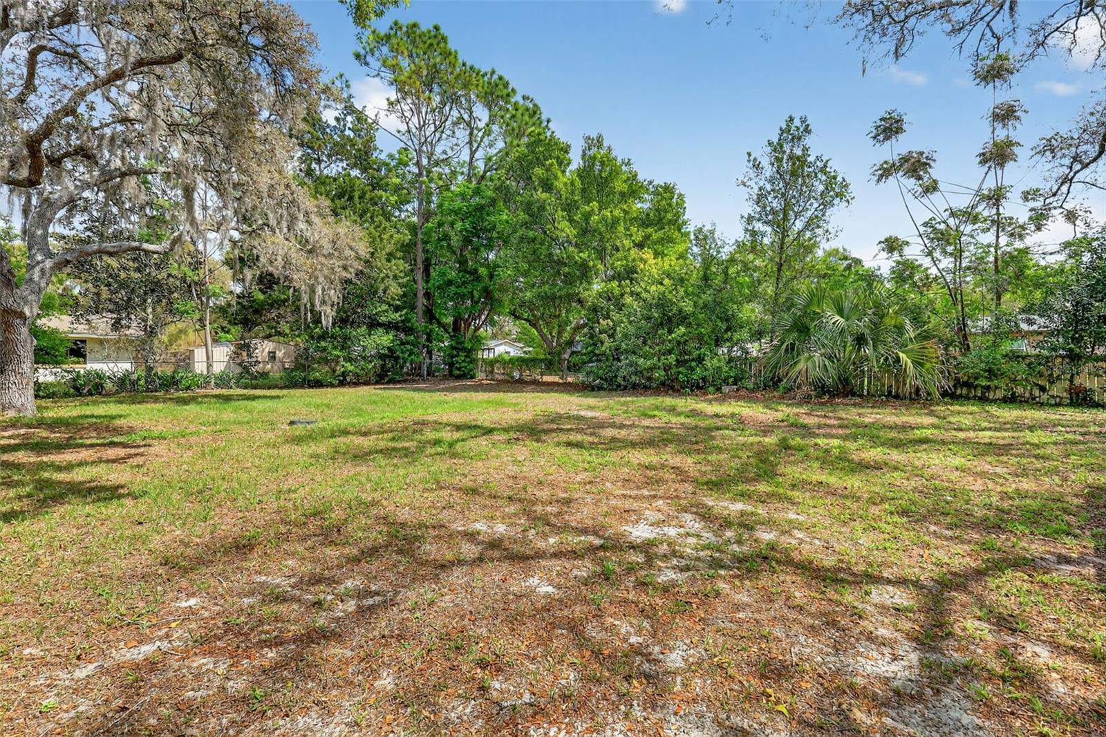 705 MIKE AVE, FRUITLAND PARK, FL, 34731