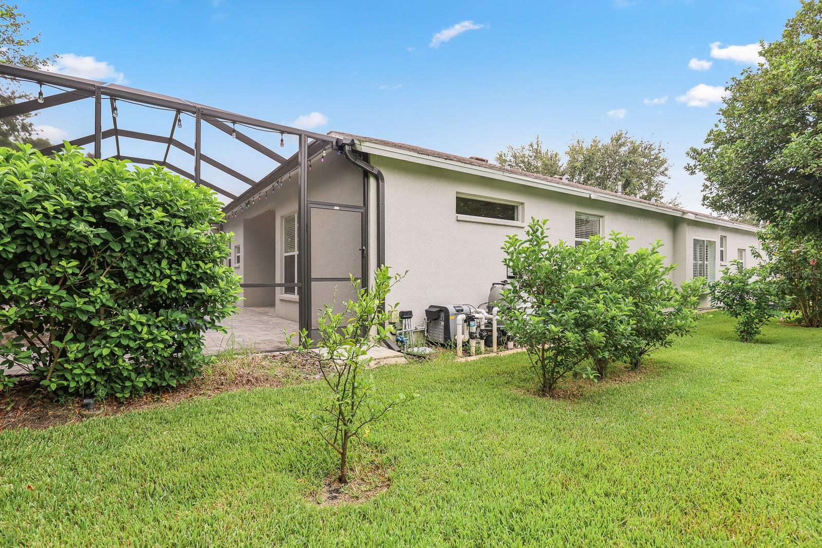 15533 MARTINMEADOW DR, LITHIA, FL, 33547
