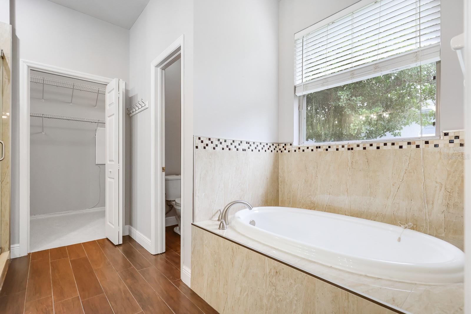 15533 MARTINMEADOW DR, LITHIA, FL, 33547