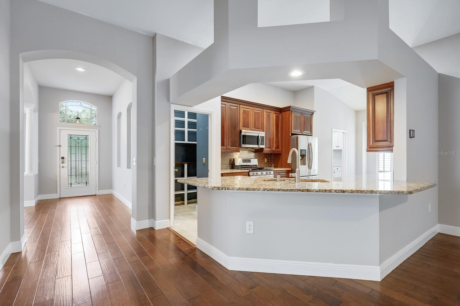 15533 MARTINMEADOW DR, LITHIA, FL, 33547