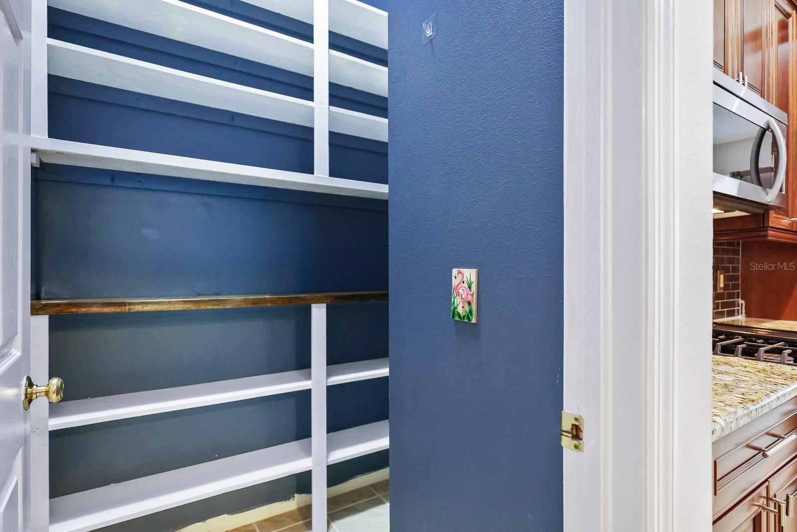 15533 MARTINMEADOW DR, LITHIA, FL, 33547