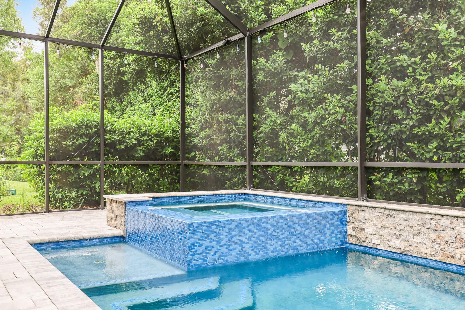 15533 MARTINMEADOW DR, LITHIA, FL, 33547