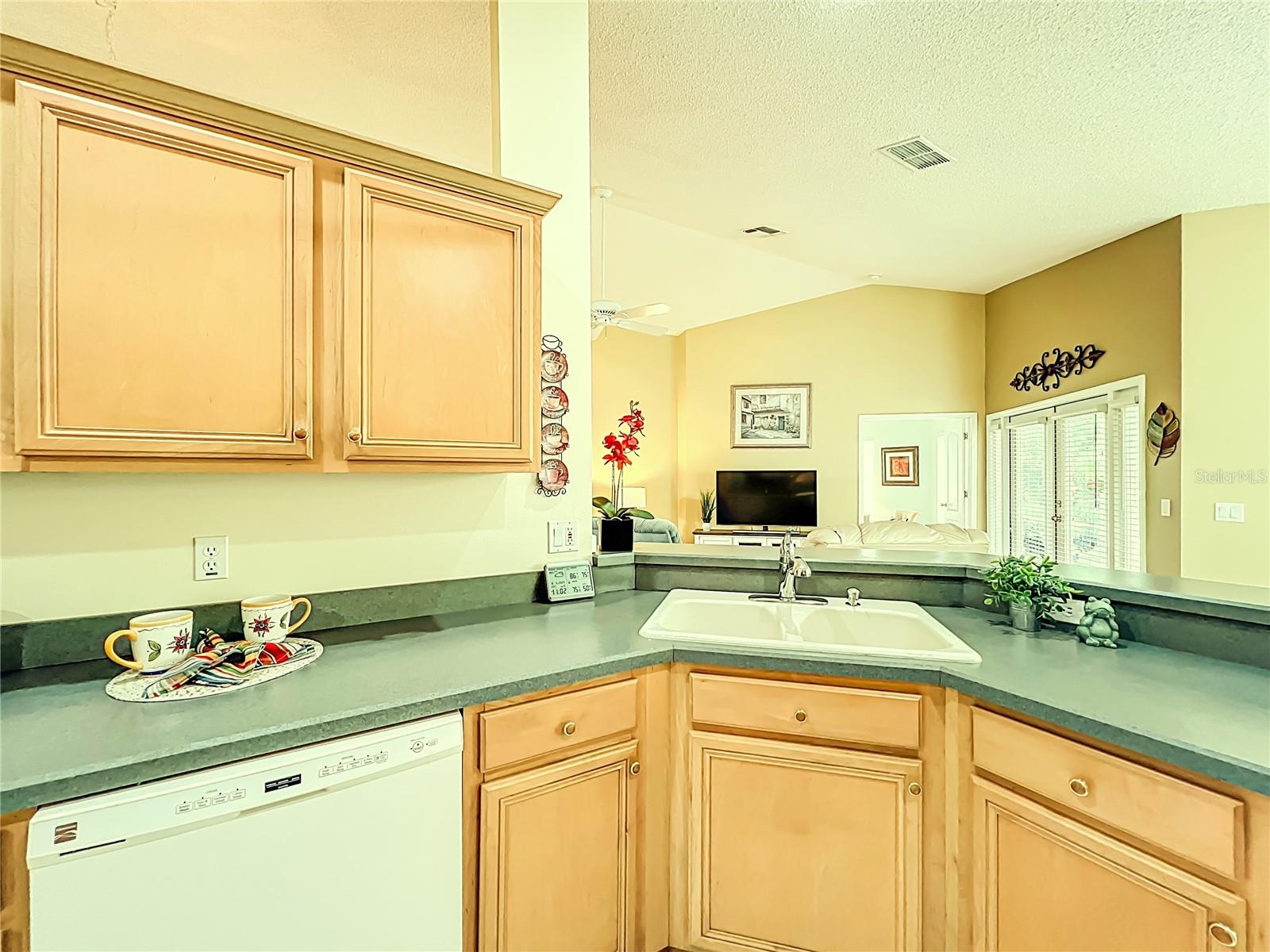 14223 PORTRUSH DR, ORLANDO, FL, 32828