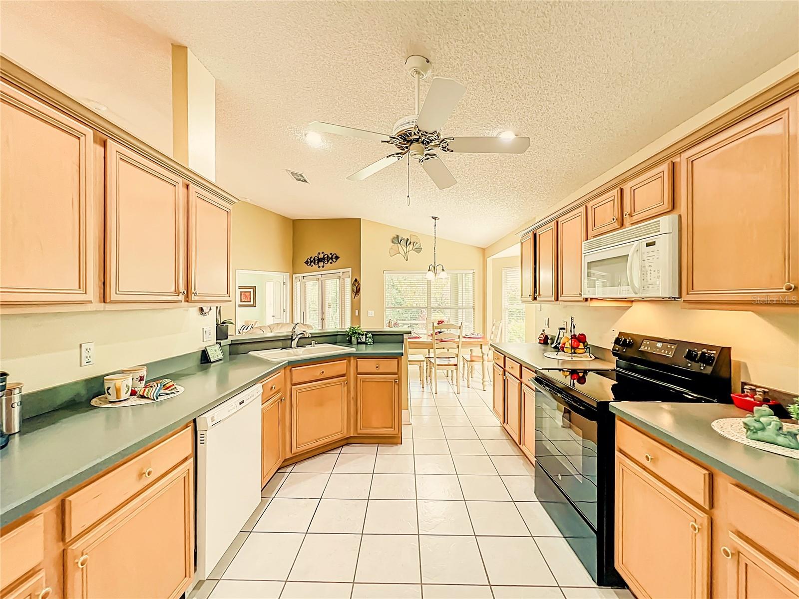 14223 PORTRUSH DR, ORLANDO, FL, 32828